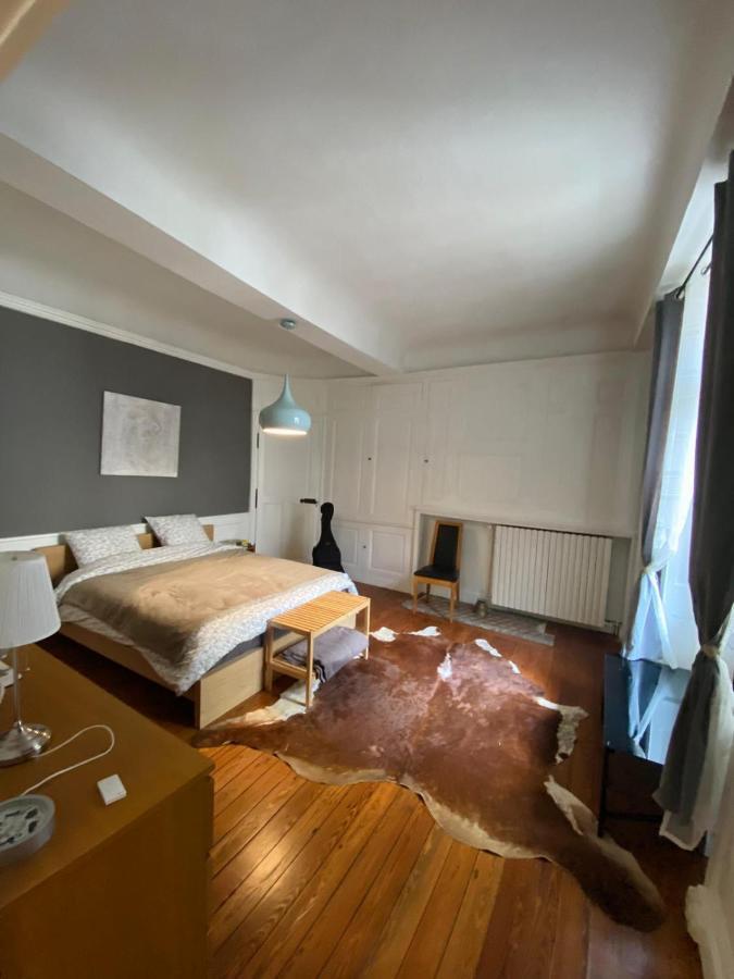 Vaste Appartement Centre Historique De Dole Luaran gambar